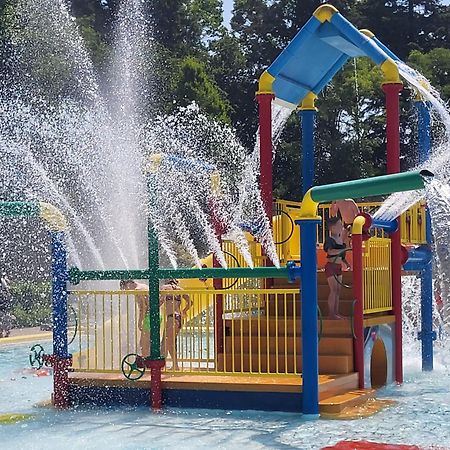 Chalet Alkenhaer Appelscha Ngoại thất bức ảnh